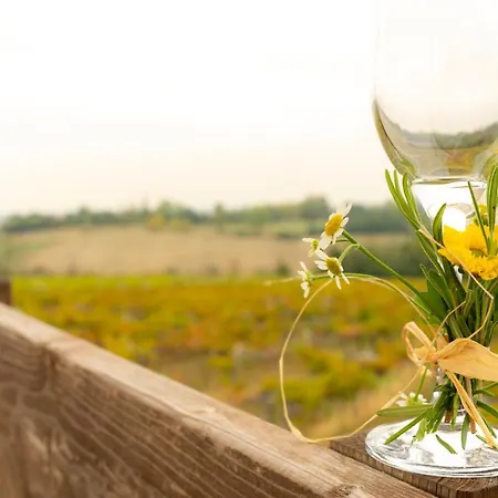Agriturismo La Cantina Dei Sapori San Martino (Ferrara)